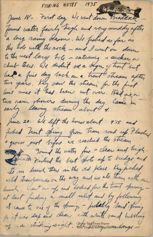 In this journal, George writes of trout fishing with Kay in Braddock Creek. He fishes for "chubs" and other fish in Trout Spring and McIntyre Creek, and sees a mink on the banks. Meeting with Mr. Barclay and Mr. King, in his hunting he comes across a grouse, a dead deer, quail, and woodcock. He hunts accompanied by his dogs Speck, Boy, and Nat. Many of his entries include details about the weather and terrain. Shooting Notes begin on page 18.