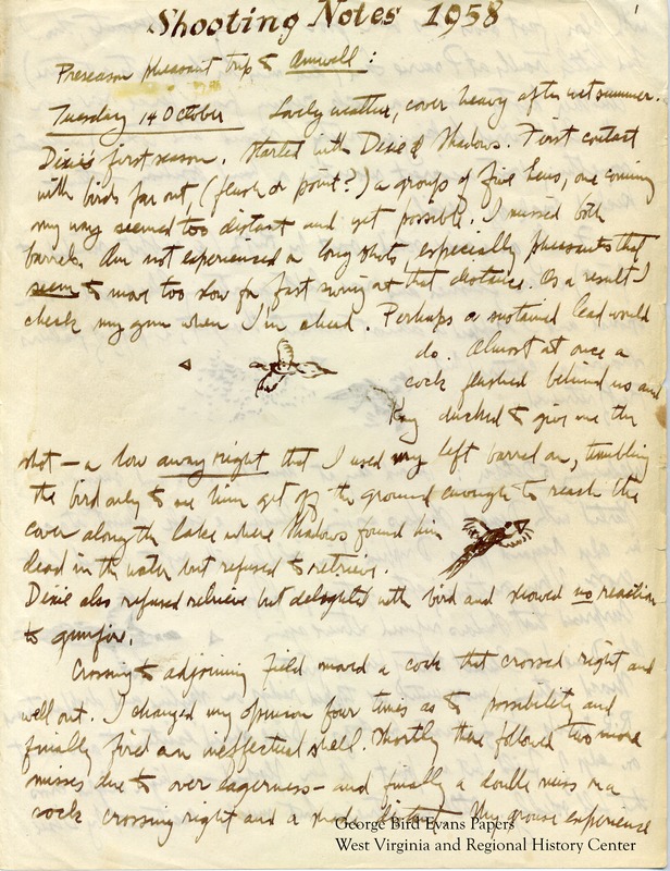 George attends the Amwell pheasant hunt in New Jersey. Back in West Virginia, he notes that it is his dog Dixie's first season, and also hunts with his other dogs Shadows, Feathers, and Ruff. He visits Uniontown and Whetsell City, and hunts for woodcock in Canaan Valley. He makes detailed notes of the terrain and weather in most entries.