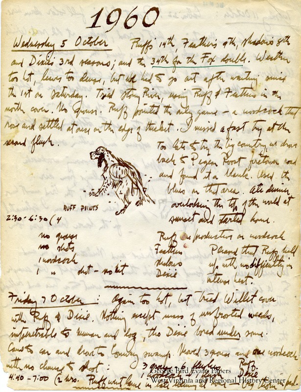 In this journal, George notes that it is Ruff's 14th season, Feathers' 9th season, Shadows' 8th season, and Dixie's 3rd season. It is his 34th season hunting with his Fox double gun. During this year, he makes a trip to Cabin 22 at Canaan Valley. He hunts for grouse and woodcock in and around Canaan Mountain, Stony River Dam, Blackwater, Barnes Run, Scott Place, and Whitsell County. He writes of allowing rabbit hunting at Old Hemlock, and describes different methods of communicating with and training his dogs. Later, he decides not to continue hunting Feathers and Dixie together, and begins pairing Dixie and Shadow together. It is Feathers' last season. He makes note of the terrain and weather frequently, and keeps statistics for each dog.