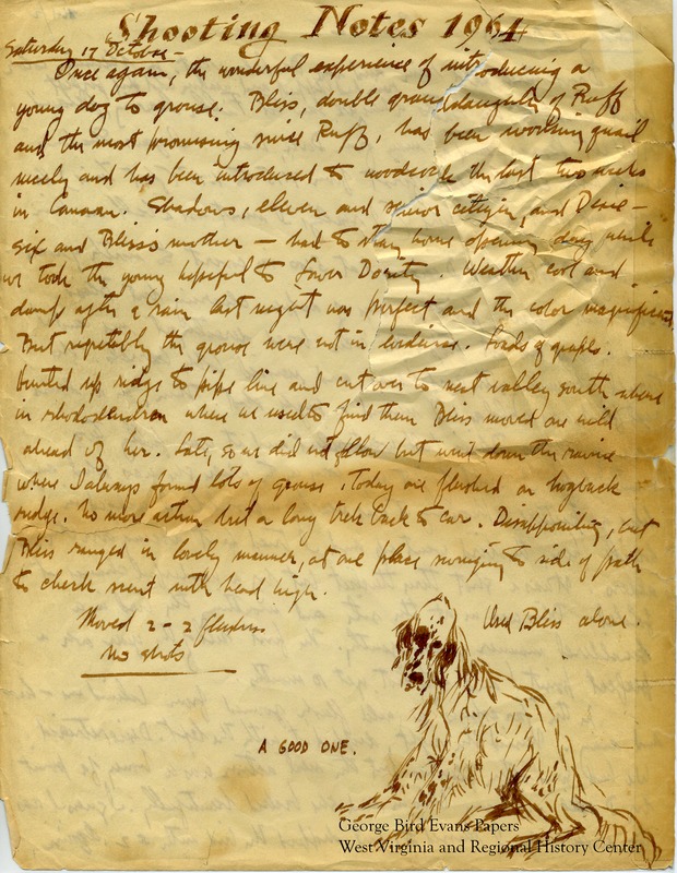 In this journal, George notes that his new dog, Bliss, the double granddaughter or Ruff, seems to be the most promising gun dog since Ruff. Accompanied by Dixie and Bliss, he hunts for quail, woodcock, and grouse in and around Lower Dority, Canaan Valley, Blackwater, Dolly Sods, and Watoga State Park. Shadows is involved in an accident while hunting. Later, George hunts in PA due to a fire closure in WV, and makes his way to the Arthurdale preserve in the post season to hunt pheasant. He makes frequent notes of the weather and terrain and keeps statistics for each dog.